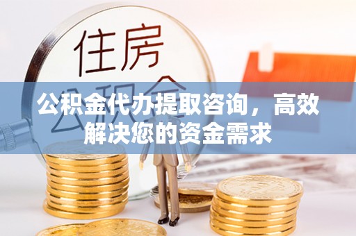 嵩县公积金代办提取咨询，高效解决您的资金需求