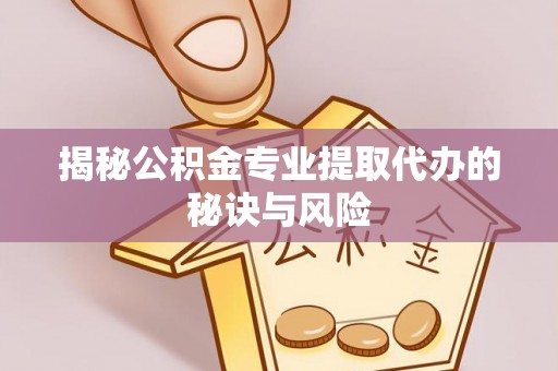嵩县揭秘公积金专业提取代办的秘诀与风险