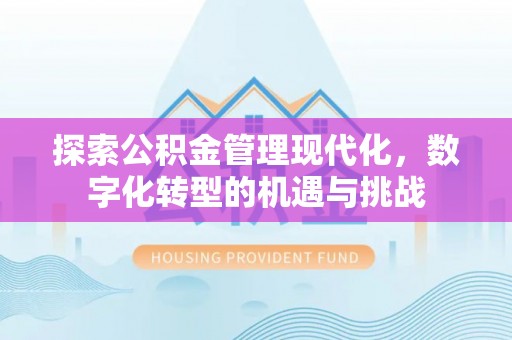 嵩县探索公积金管理现代化，数字化转型的机遇与挑战