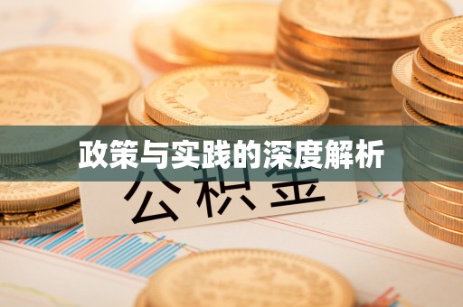 嵩县政策与实践的深度解析