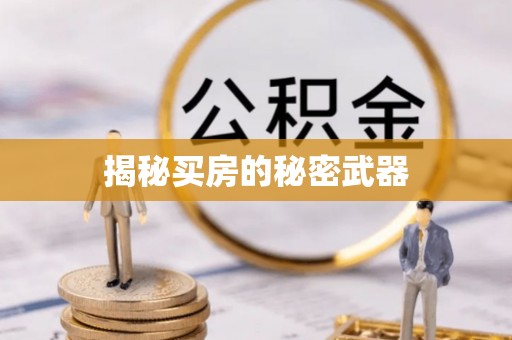 嵩县揭秘买房的秘密武器