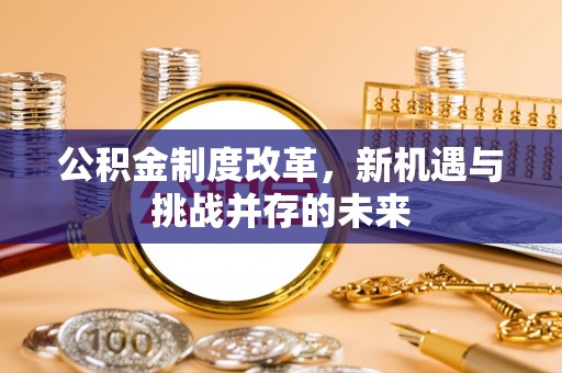 嵩县公积金制度改革，新机遇与挑战并存的未来