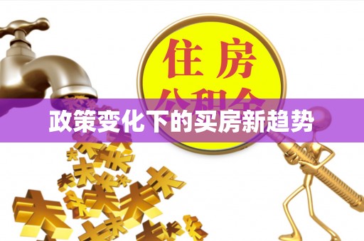 嵩县政策变化下的买房新趋势
