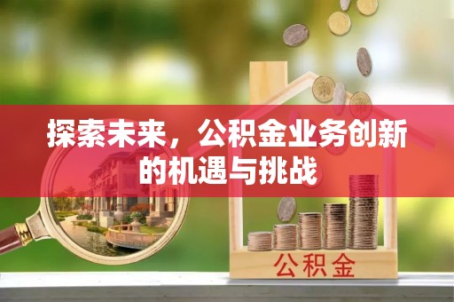 嵩县探索未来，公积金业务创新的机遇与挑战