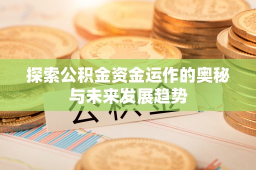 嵩县探索公积金资金运作的奥秘与未来发展趋势