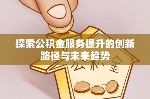 嵩县探索公积金服务提升的创新路径与未来趋势
