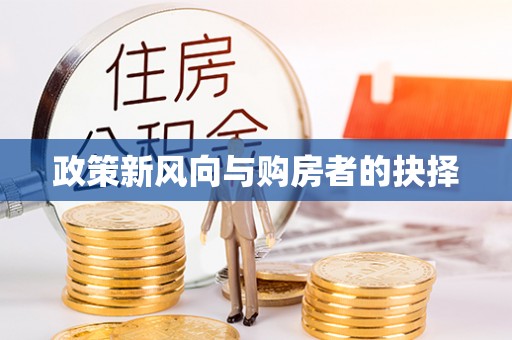 嵩县政策新风向与购房者的抉择