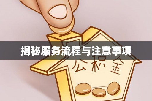 嵩县揭秘服务流程与注意事项