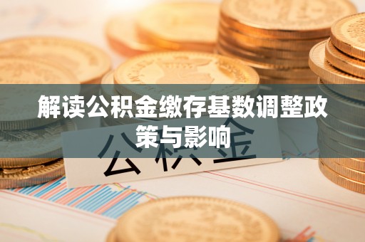 嵩县解读公积金缴存基数调整政策与影响