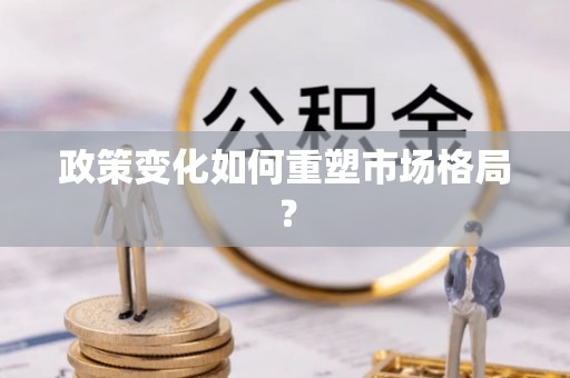 嵩县政策变化如何重塑市场格局？