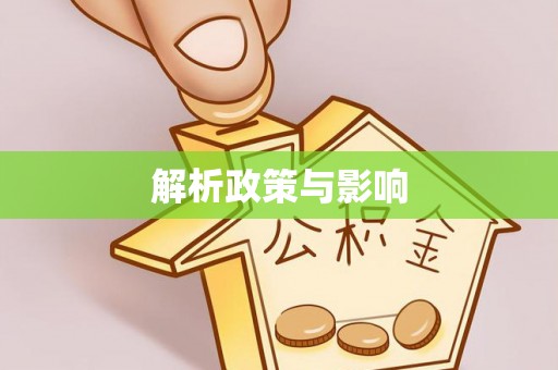 嵩县解析政策与影响