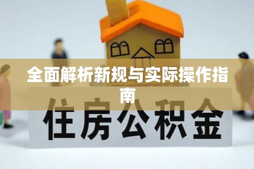嵩县全面解析新规与实际操作指南