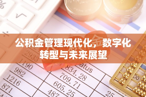 嵩县公积金管理现代化，数字化转型与未来展望