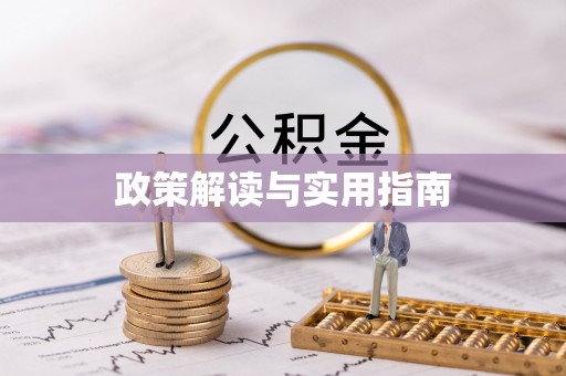 嵩县政策解读与实用指南