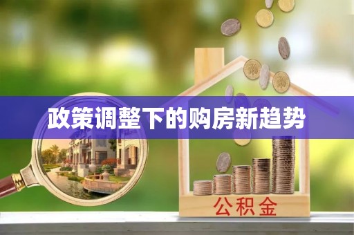 嵩县政策调整下的购房新趋势
