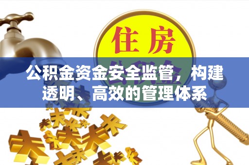 嵩县公积金资金安全监管，构建透明、高效的管理体系