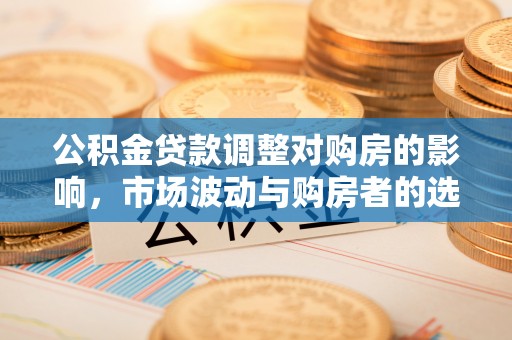 嵩县公积金贷款调整对购房的影响，市场波动与购房者的选择