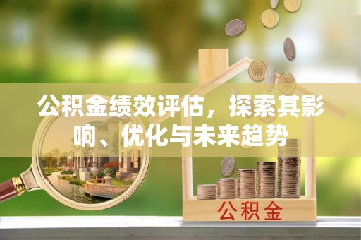嵩县公积金绩效评估，探索其影响、优化与未来趋势