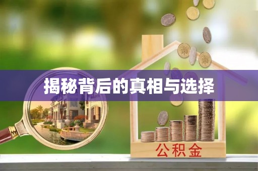 嵩县揭秘背后的真相与选择