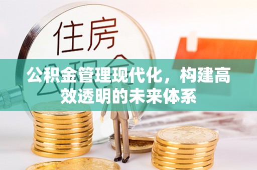嵩县公积金管理现代化，构建高效透明的未来体系