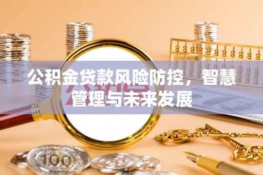 嵩县公积金贷款风险防控，智慧管理与未来发展