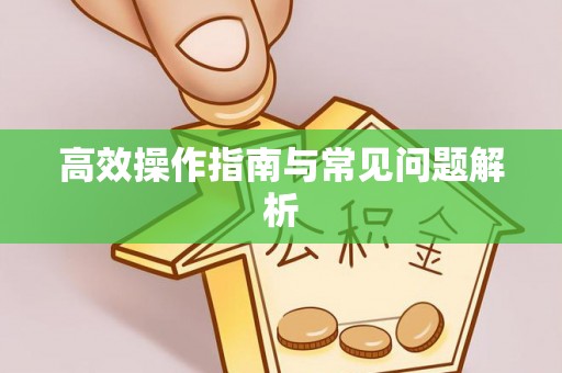 嵩县高效操作指南与常见问题解析
