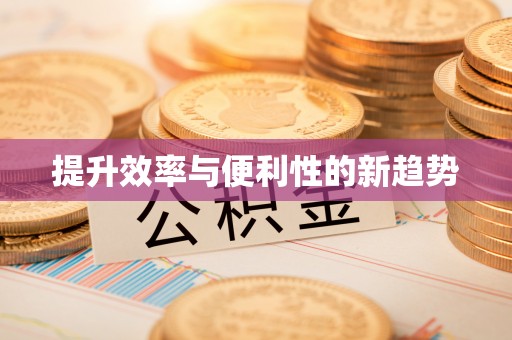 嵩县提升效率与便利性的新趋势