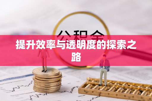 嵩县提升效率与透明度的探索之路