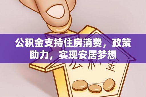 嵩县公积金支持住房消费，政策助力，实现安居梦想