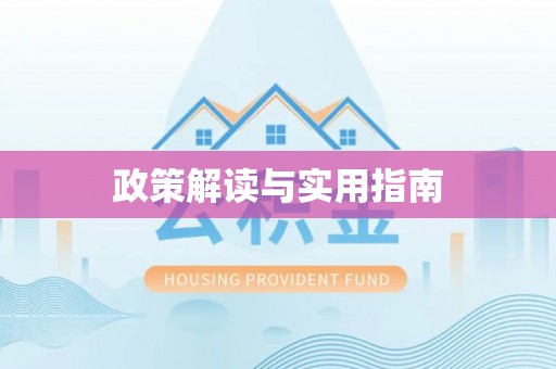 嵩县政策解读与实用指南