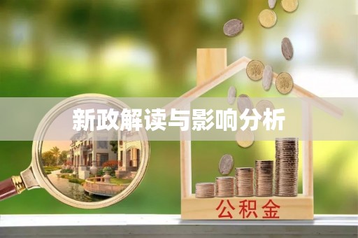 嵩县新政解读与影响分析