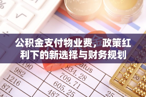 嵩县公积金支付物业费，政策红利下的新选择与财务规划