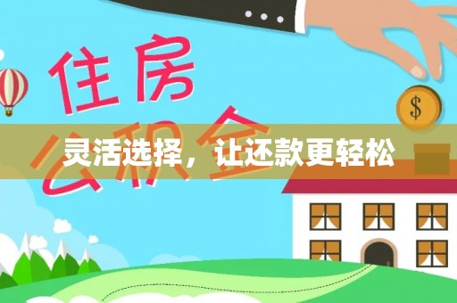 嵩县灵活选择，让还款更轻松