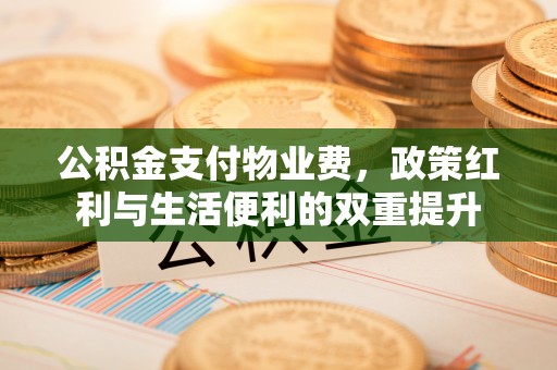嵩县公积金支付物业费，政策红利与生活便利的双重提升