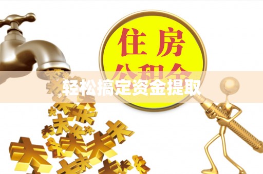 嵩县轻松搞定资金提取