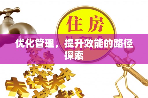 嵩县优化管理，提升效能的路径探索