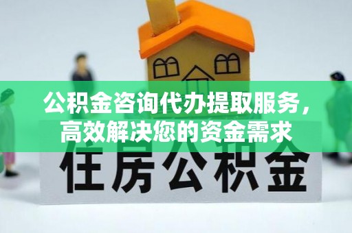嵩县公积金咨询代办提取服务，高效解决您的资金需求