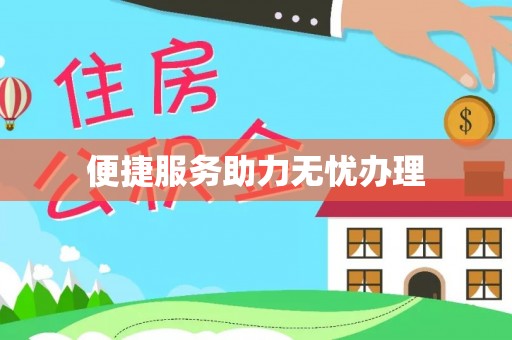 嵩县便捷服务助力无忧办理