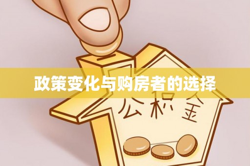 嵩县政策变化与购房者的选择