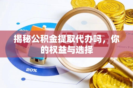 嵩县揭秘公积金提取代办吗，你的权益与选择