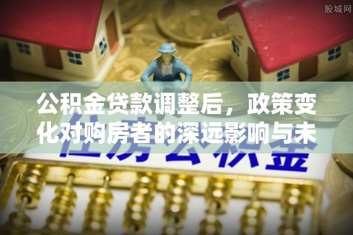 嵩县公积金贷款调整后，政策变化对购房者的深远影响与未来趋势分析