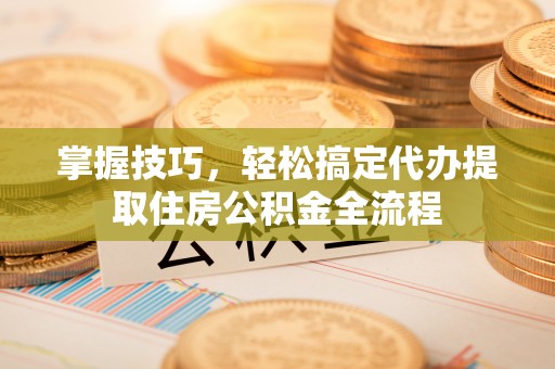 嵩县掌握技巧，轻松搞定代办提取住房公积金全流程