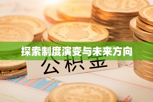 嵩县探索制度演变与未来方向