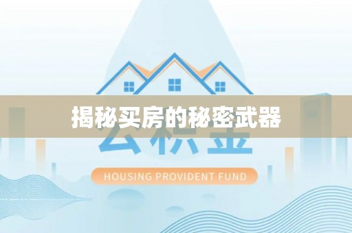 嵩县揭秘买房的秘密武器