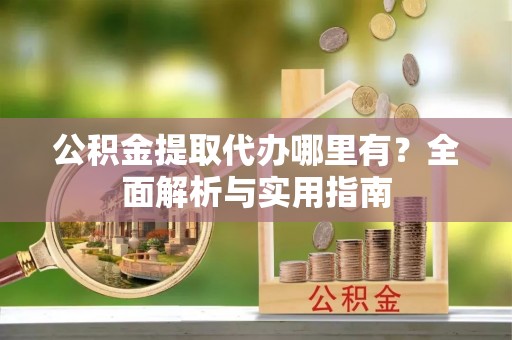 嵩县公积金提取代办哪里有？全面解析与实用指南