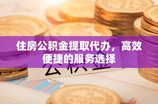 嵩县住房公积金提取代办，高效便捷的服务选择