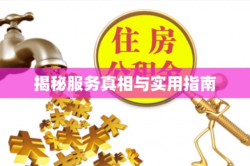 嵩县揭秘服务真相与实用指南