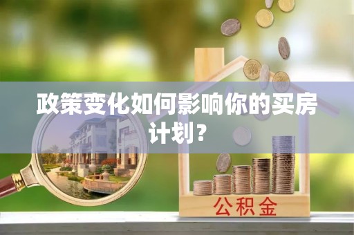 嵩县政策变化如何影响你的买房计划？