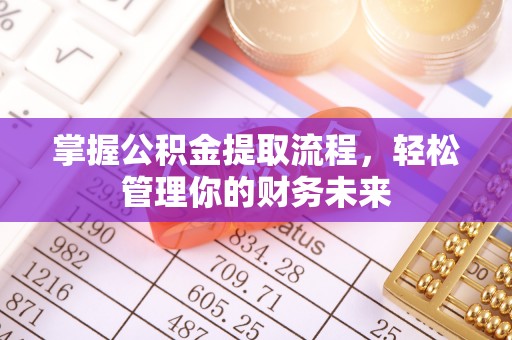 嵩县掌握公积金提取流程，轻松管理你的财务未来