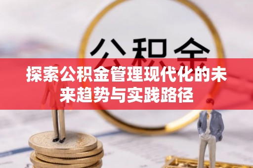 嵩县探索公积金管理现代化的未来趋势与实践路径